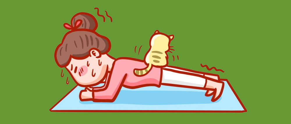 正在减脂的您请了解——减脂与控糖