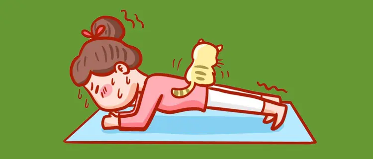 正在减脂的您请了解——减脂与控糖 正在减脂的您请了解——减脂与控糖