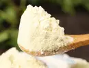降糖奶粉的升糖指数(GI)升糖负荷(GL)及热量