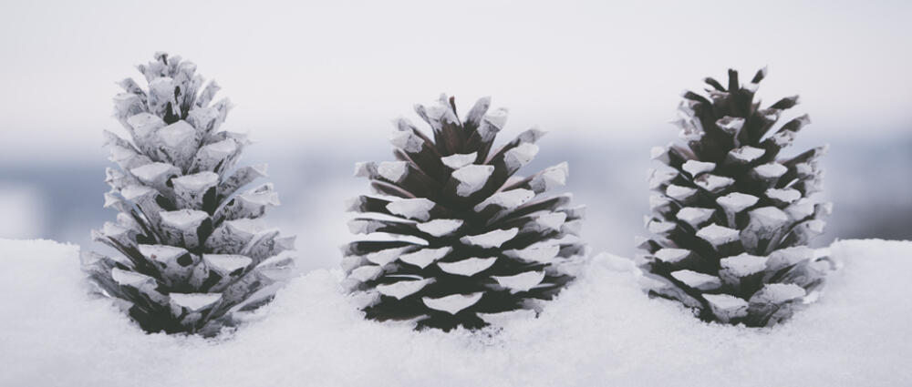 糖尿病患者如何轻松过冬