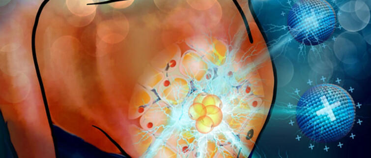 糖尿病患者减肥的福音，研究人员通过将纳米材料注入不健康的脂肪，实现对肥胖症的治疗