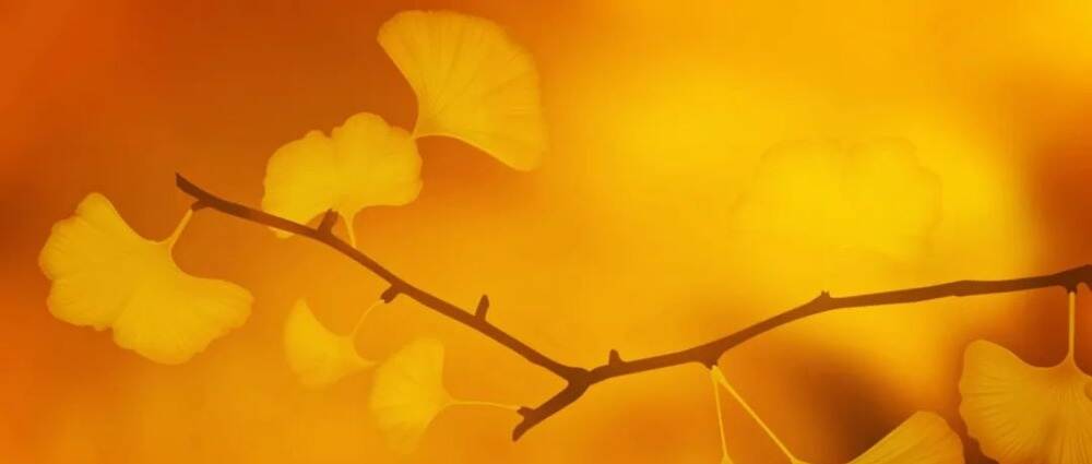 秋季来临,糖友该如何应对?