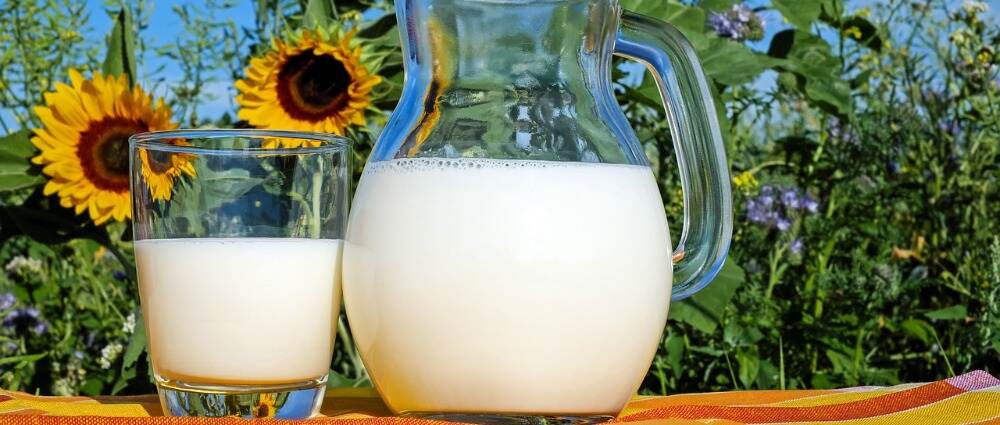 糖友喝什么奶最好?10 张图解决你的疑惑