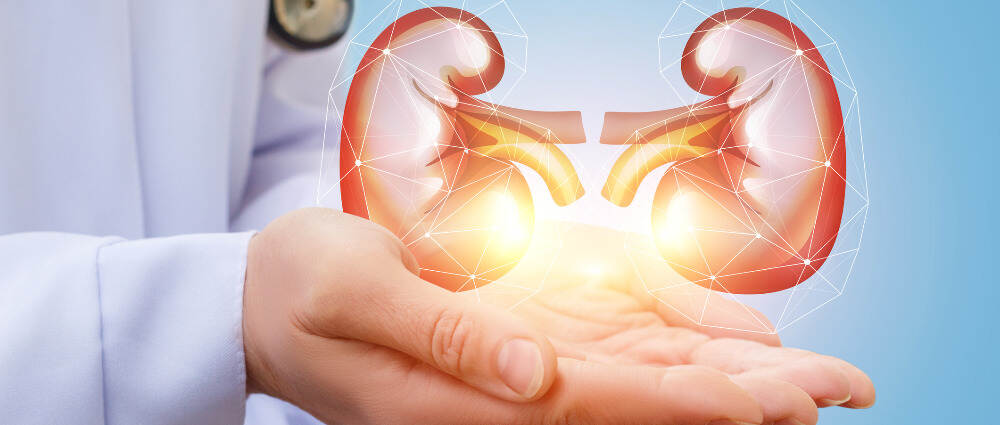 延缓糖尿病人肾脏疾病进展的新方法