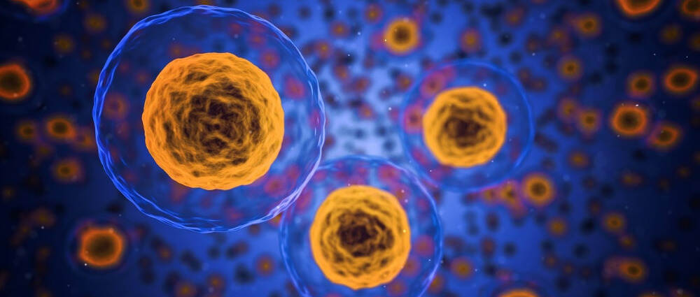 我国科学家建立全新胰岛移植策略，解决干细胞治疗糖尿病的关键难题