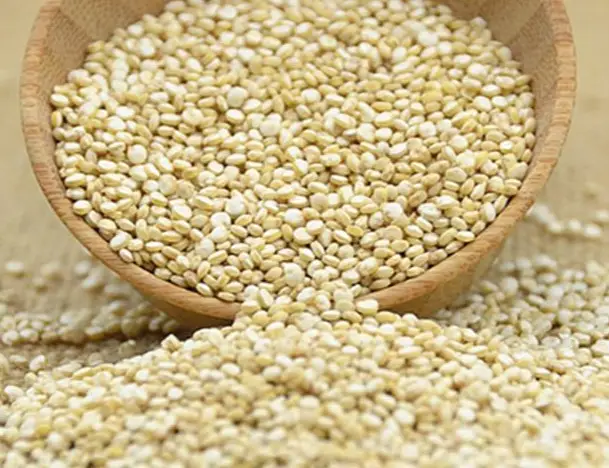 藜麦,南美藜,印第安麦,奎藜,奎奴亚藜,灰米,金谷子,奎藜籽,藜谷,藜麦饭,粗粮的升糖指数(GI值),升糖负荷(GL值)热量,蛋白质含量,碳水化合物含量,嘌呤含量 藜麦,南美藜,印第安麦,奎藜,奎奴亚藜,灰米,金谷子,奎藜籽,藜谷,藜麦饭,粗粮的升糖指数(GI值),升糖负荷(GL值)热量,蛋白质含量,碳水化合物含量,嘌呤含量