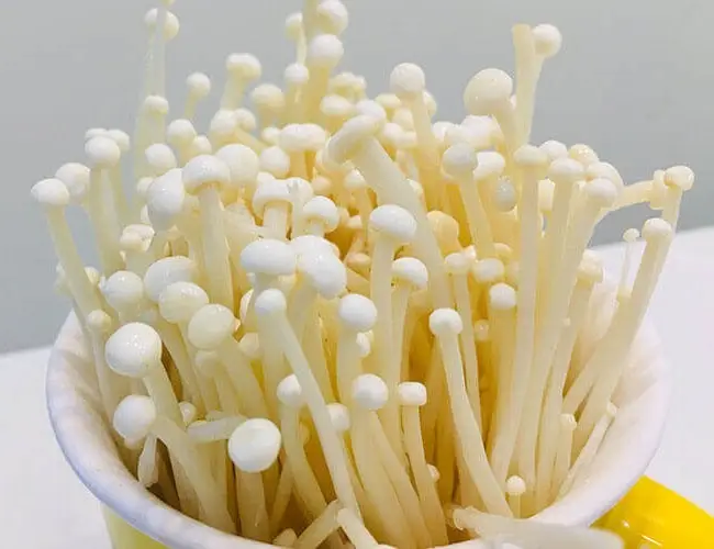 金针菇,冬菇,朴菇,构菌,青杠菌,毛柄金钱菌,朴菰 ,冻菌,金菇,智力菇,鲜金针菇的升糖指数(GI值),升糖负荷(GL值)热量,蛋白质含量,碳水化合物含量,嘌呤含量