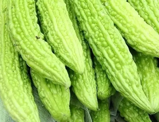 苦瓜,凉瓜,癞瓜,锦荔枝,癞葡萄的升糖指数(GI值),升糖负荷(GL值)热量,蛋白质含量,碳水化合物含量,嘌呤含量