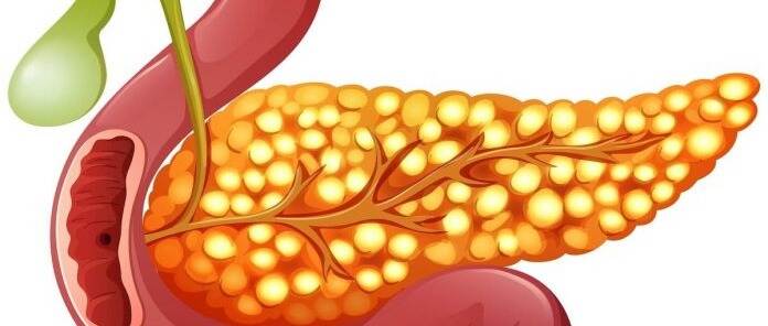 研究人员正在实验替代现有胰岛移植治疗1型糖尿病的方法