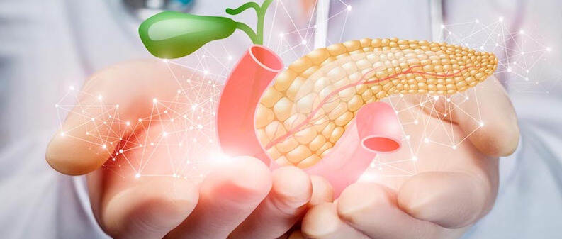 研究发现运动锻炼可保护产生胰岛素的β细胞，对血糖控制非常有益