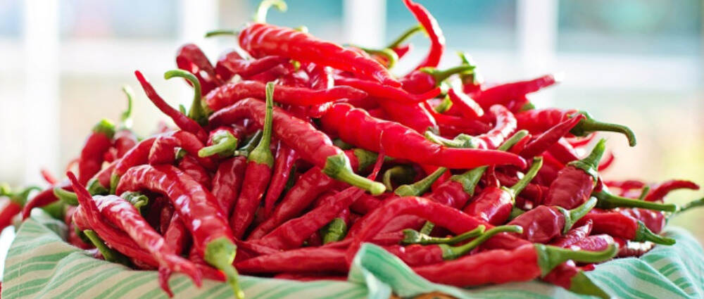 控糖误区:“多吃辣”可以预防和治疗糖尿病
