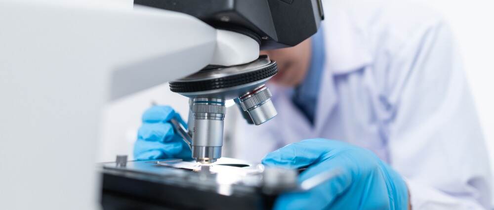 研究：β细胞的缺失可能导致2型糖尿病