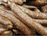 煮木薯（冷冻重加热）的升糖指数(GI)升糖负荷(GL)及热量