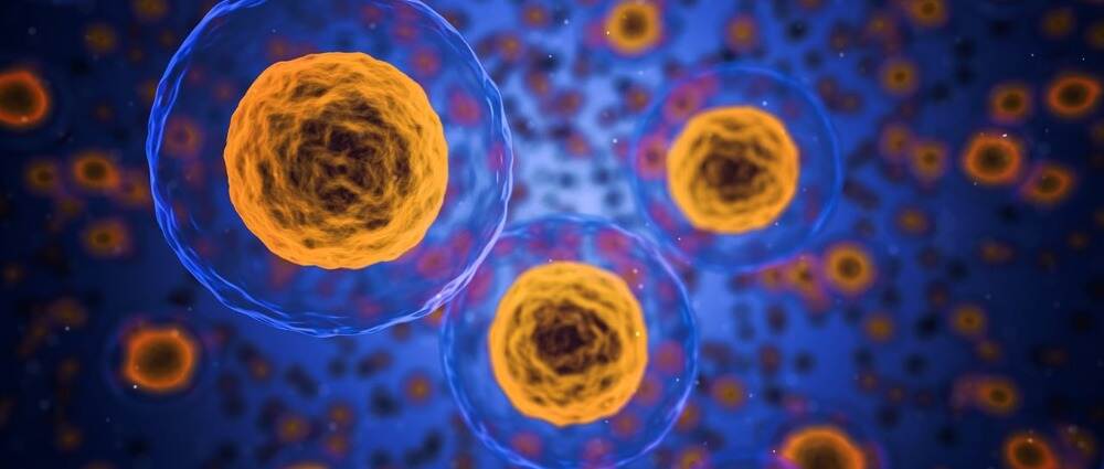 糖尿病患者干细胞治疗的最新研究