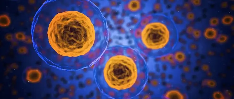 糖尿病患者干细胞治疗的最新研究 糖尿病患者干细胞治疗的最新研究
