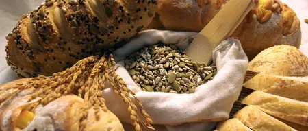 研究:饮食中碳水化合物质量差导致全球2型糖尿病的增加