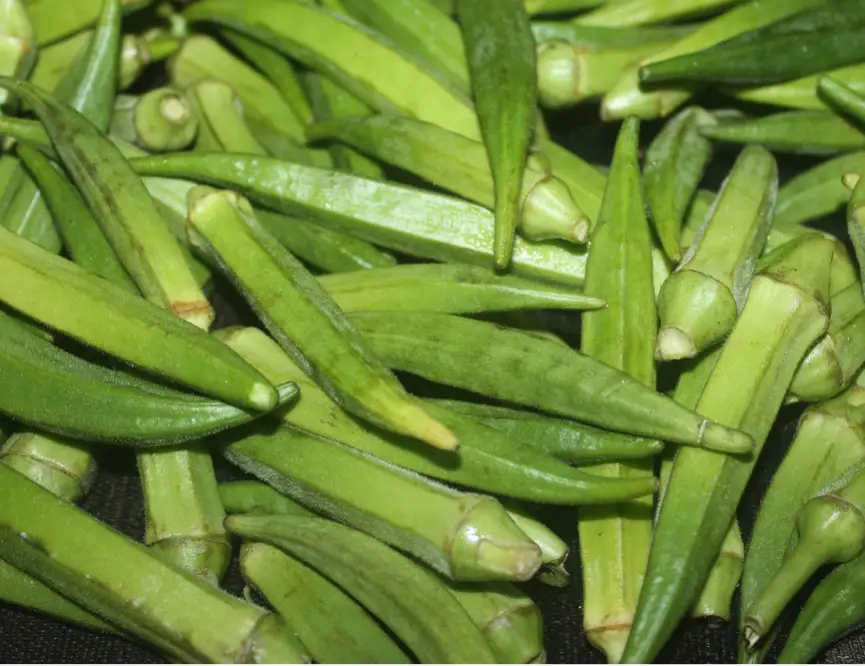 秋葵,黄秋葵,羊角菜,羊角豆,咖啡黄葵,毛茄,黄蜀葵的升糖指数(GI值),升糖负荷(GL值)热量,蛋白质含量,碳水化合物含量,嘌呤含量