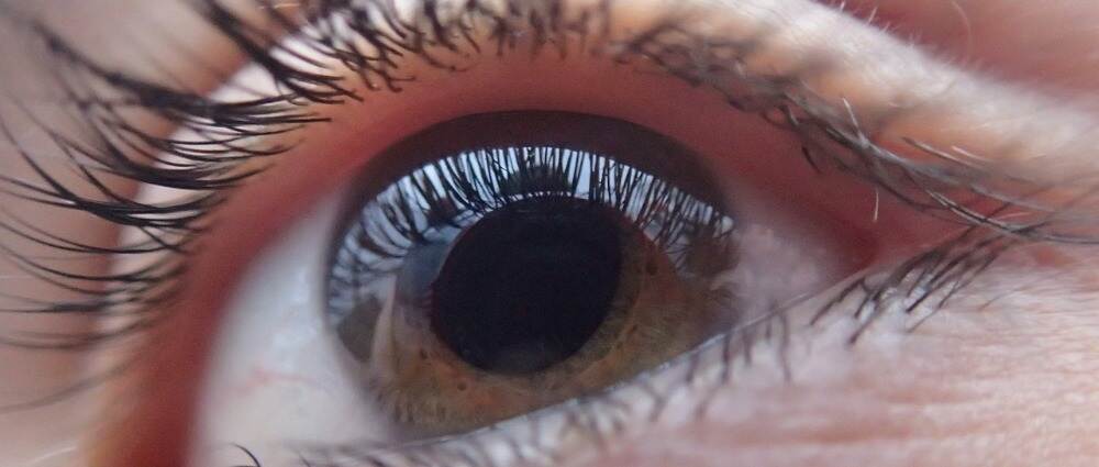 为什么低血糖发作会加重糖尿病患者的眼病?