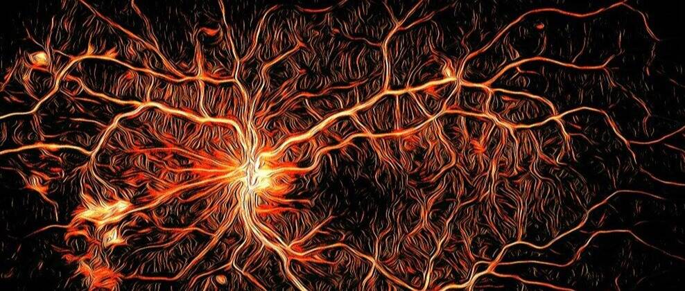 新研究中的实验药物可抑制或预防糖尿病眼病