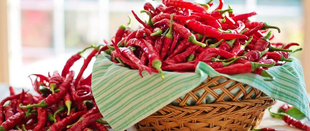 研究表明辣椒素有助于治疗糖尿病足部神经病变