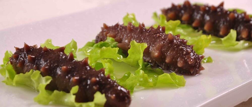 研究：海参可能有助于预防糖尿病