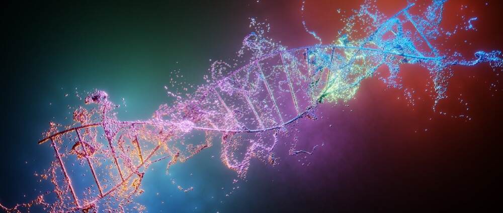 DNA研究揭示血糖维持机制