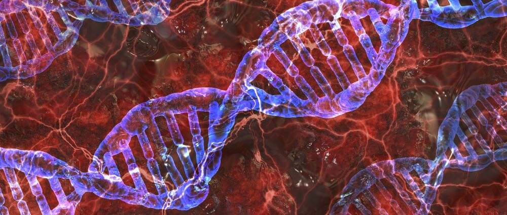 研究：RELA基因与类固醇诱导的糖尿病有关