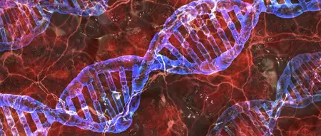 研究：RELA基因与类固醇诱导的糖尿病有关