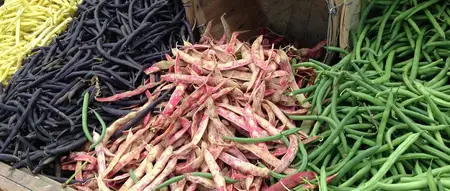 即可做菜也可当零食的糖尿病人的健康食品——豆类