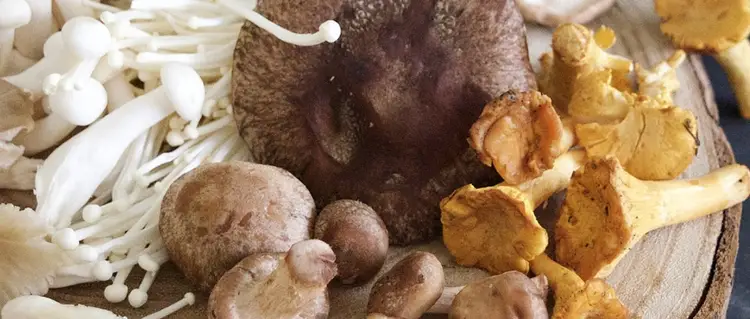 稳定血糖靠这招！高纤维食物稳糖、调脂、通便，推荐4类膳食纤维很高的食物