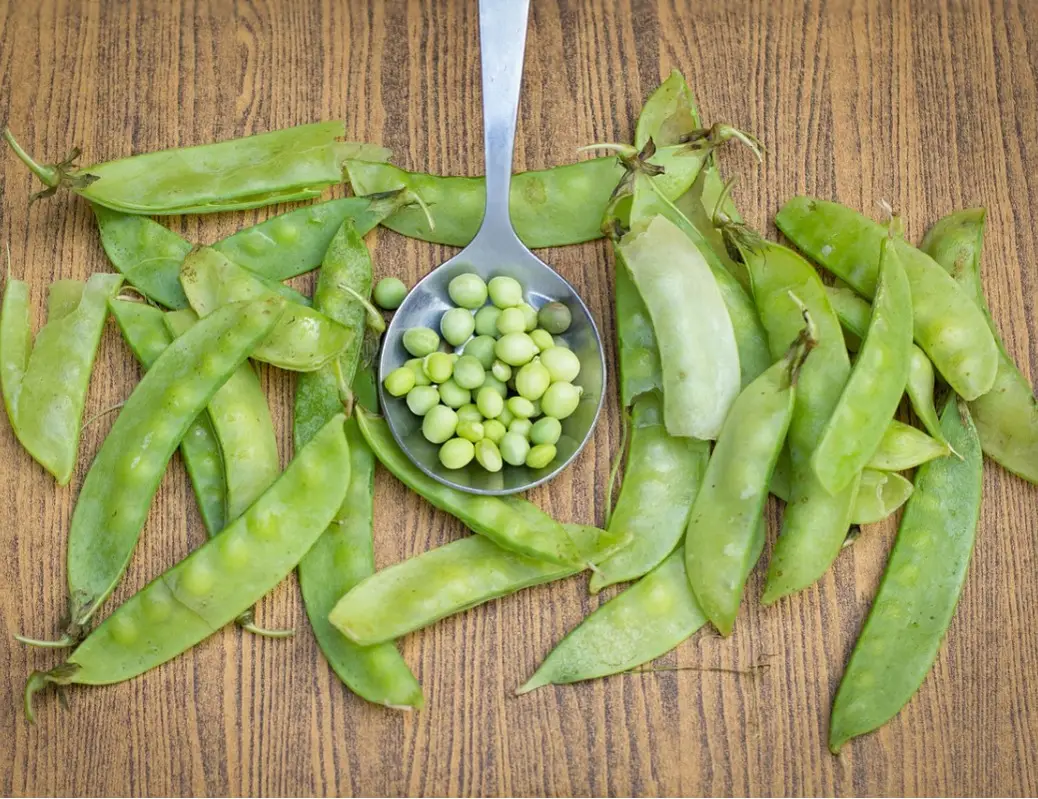荷兰豆的升糖指数(GI值),升糖负荷(GL值)热量,蛋白质含量,碳水化合物含量,嘌呤含量 荷兰豆的升糖指数(GI值),升糖负荷(GL值)热量,蛋白质含量,碳水化合物含量,嘌呤含量