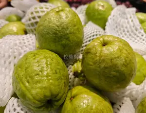 番石榴,芭乐,鸡矢果,番桃,芭乐果的升糖指数(GI值)升糖负荷(GL值)热量及营养成分 番石榴,芭乐,鸡矢果,番桃,芭乐果的升糖指数(GI值)升糖负荷(GL值)热量及营养成分