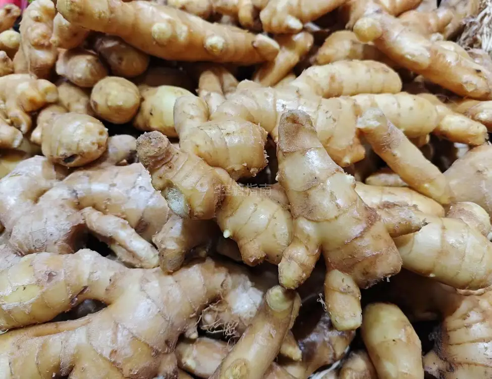 生姜,黄姜,均姜,黄姜,姜母的升糖指数(GI值),升糖负荷(GL值)热量,蛋白质含量,碳水化合物含量,嘌呤含量